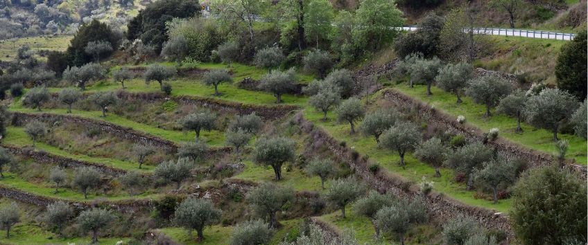 paisagem bela de barca d'alva