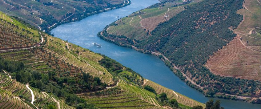 Cruzeiro pelo rio douro está cheio de paisagens espetaculares. 