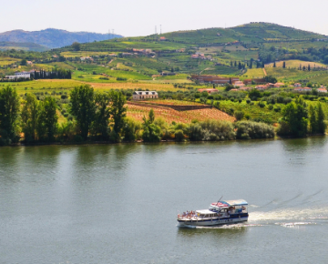 Passeio de barco pelo Vale do Douro: uma viagem de encanto entre vinhedos e paisagens inesquecíveis.