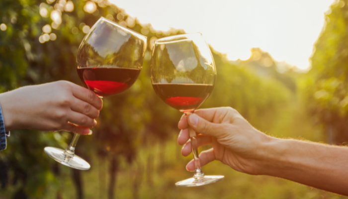 Uma degustação de vinho no Douro é uma viagem sensorial pelos aromas ricos da região vinícola.