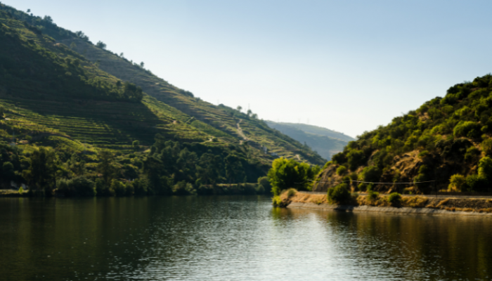 Socalcos do Douro: natureza e tradição em cada camada.