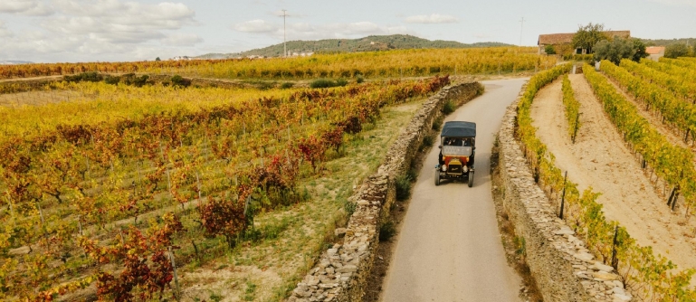 Douro Wine Route (2 Days)